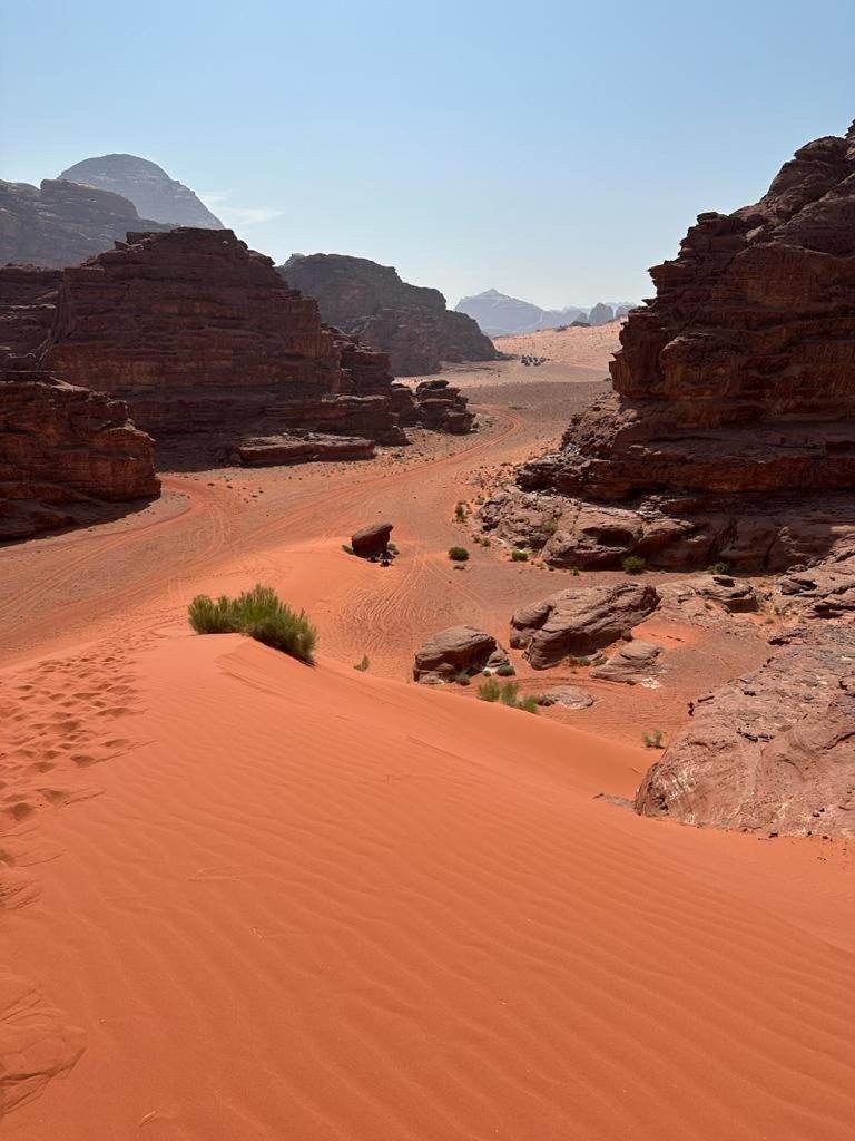 Bedouin Holidays Camp And Jeep Tours Ram Vadisi Dış mekan fotoğraf