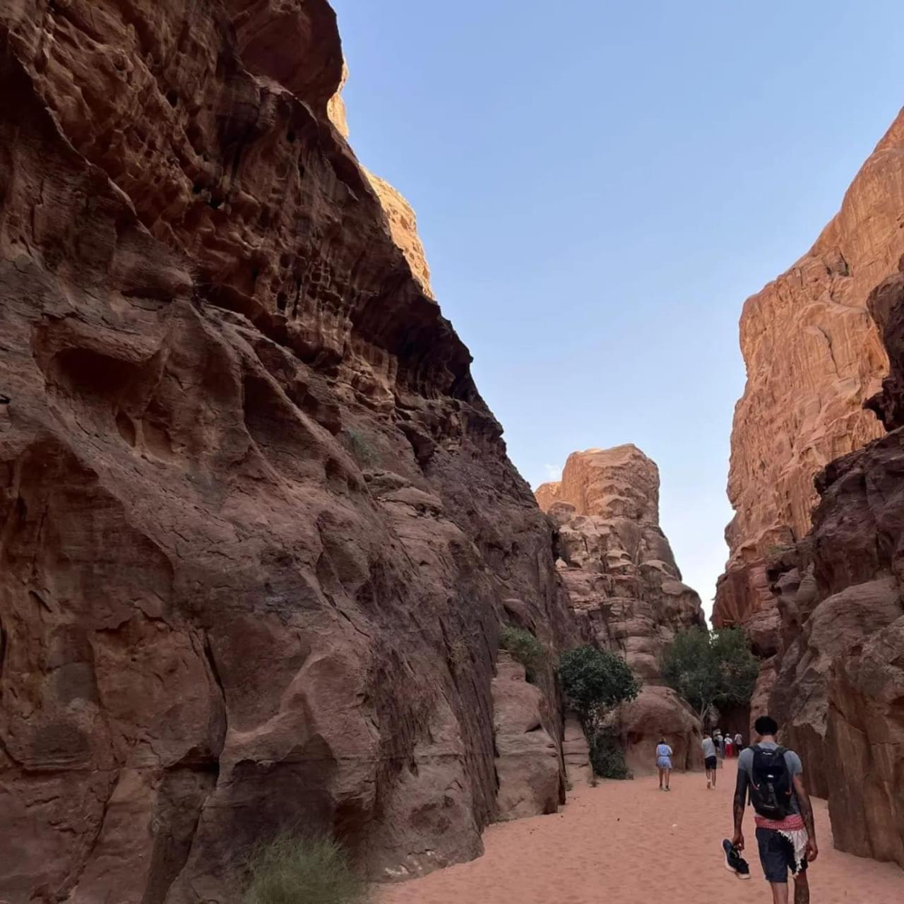Bedouin Holidays Camp And Jeep Tours Ram Vadisi Dış mekan fotoğraf